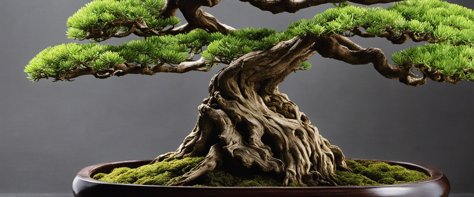 An image showcasing the intricate evolution of bonsai trees